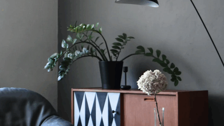 obraz_2025-04-26_015839474